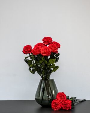 Eksklusiivinen Ikuisuusruusukimppu – Aitoja ruusuja jotka kestävät vuosia (60 cm) 10 Forever Flora Fi