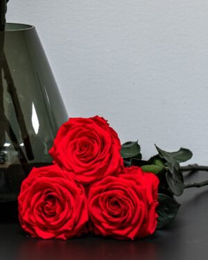 Eksklusiivinen Ikuisuusruusukimppu – Aitoja ruusuja jotka kestävät vuosia (60 cm) 8 Forever Flora Fi