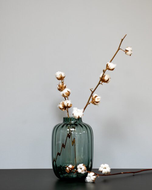 Alternative view of Aitoja Puuvillaoksia (7-8 nuppua) – Luonnolliset Kuivakukat