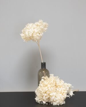 Eksklusiivinen Säilötty Hortensia Long – Luonnon luksusta kotiisi (60 cm) 13 Forever Flora Fi
