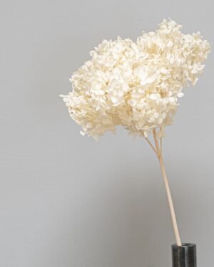 Alternative view of Eksklusiivinen Säilötty Hortensia Long – Luonnon luksusta kotiisi (60 cm)
