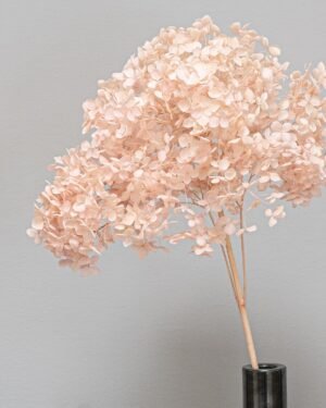 Eksklusiivinen Säilötty Hortensia Long – Luonnon luksusta kotiisi (60 cm) 15 Forever Flora Fi