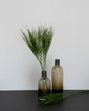 Tiki Saniainen - Säilytetyt kasvit 6 Forever Flora Fi