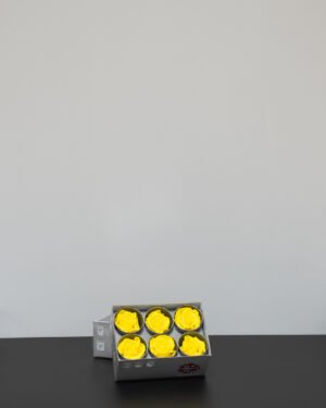 Evighetsros