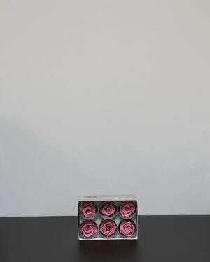 Evighetsros
