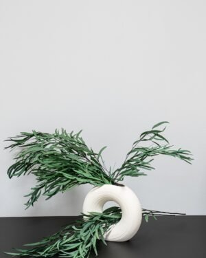 Eucalyptus Nicoli - Säilytetyt kasvit 13 Forever Flora Fi