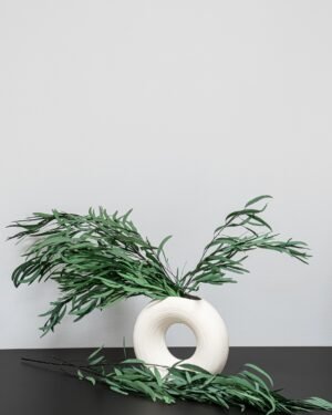 Eucalyptus Nicoli - Säilytetyt kasvit 12 Forever Flora Fi