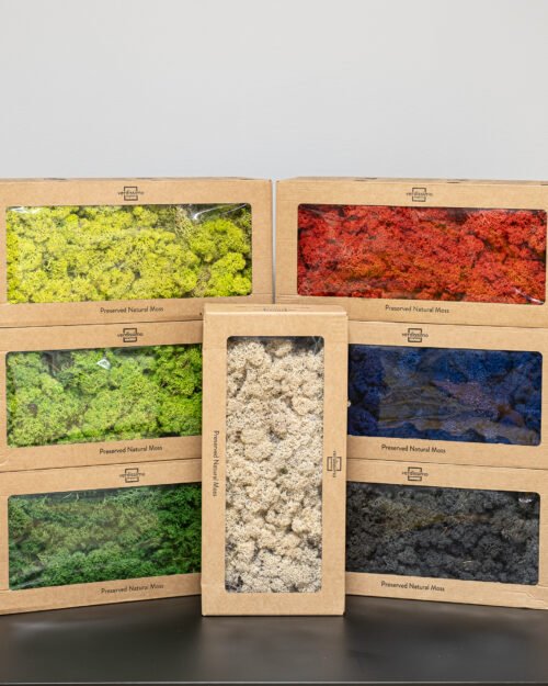 Alternative view of Eksklusiivinen Säilötty Porosammal (500g) – Luonnon rauhaa kotiisi