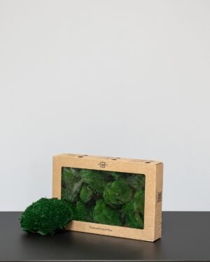 Eksklusiivinen Säilötty Pallosammal – Luonnon 3D-taidetta kotiisi 8 Forever Flora Fi