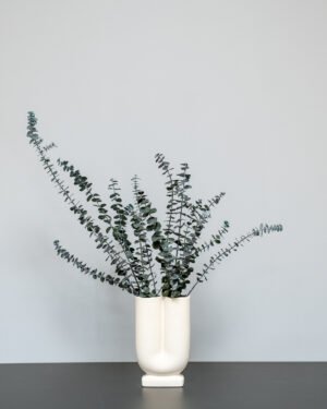 Eucalyptus Baby Blue – Kuivattu ja Kestävä Koriste 5 Eucalyptus baby blue