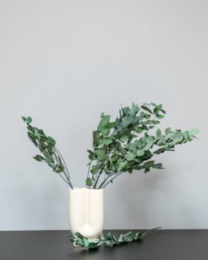 Eucalyptus Cinerea - Säilytetyt kasvit 16 Forever Flora Fi