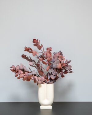 Eucalyptus Cinerea - Säilytetyt kasvit 17 Forever Flora Fi