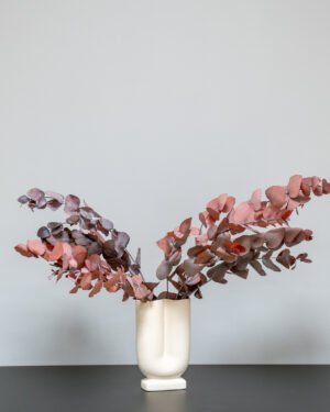 Eucalyptus Cinerea - Säilytetyt kasvit 15 Forever Flora Fi