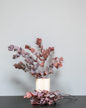 Eucalyptus Cinerea - Säilytetyt kasvit 13 Forever Flora Fi