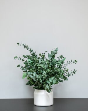 Alternative view of Eksklusiivinen Säilötty Eucalyptus Stuartiana – Luonnon kauneutta ilman huolta