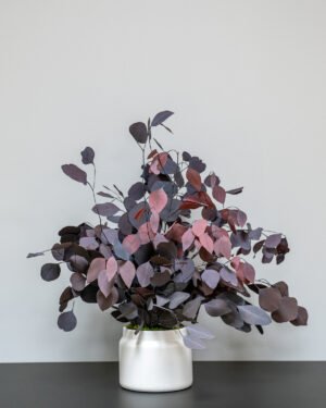 Säilötyt Ruukkukasvit Eucalyptus Populus 10 Forever Flora Fi