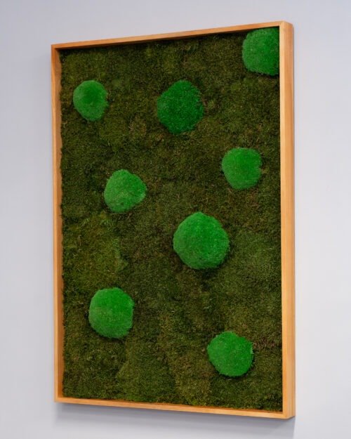 Alternative view of Sammaltaulu Mix – Neliönmuotoinen yhdistelmä litteää ja pallosammalta