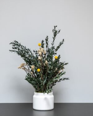 Eksklusiivinen Säilötty Summer Parvifolia – Luonnon kauneutta ilman huolta 6 Forever Flora Fi
