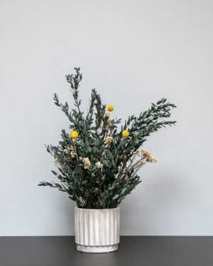 Eksklusiivinen Säilötty Summer Parvifolia – Luonnon kauneutta ilman huolta 8 Forever Flora Fi