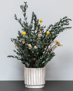 Eksklusiivinen Säilötty Summer Parvifolia – Luonnon kauneutta ilman huolta 7 Forever Flora Fi