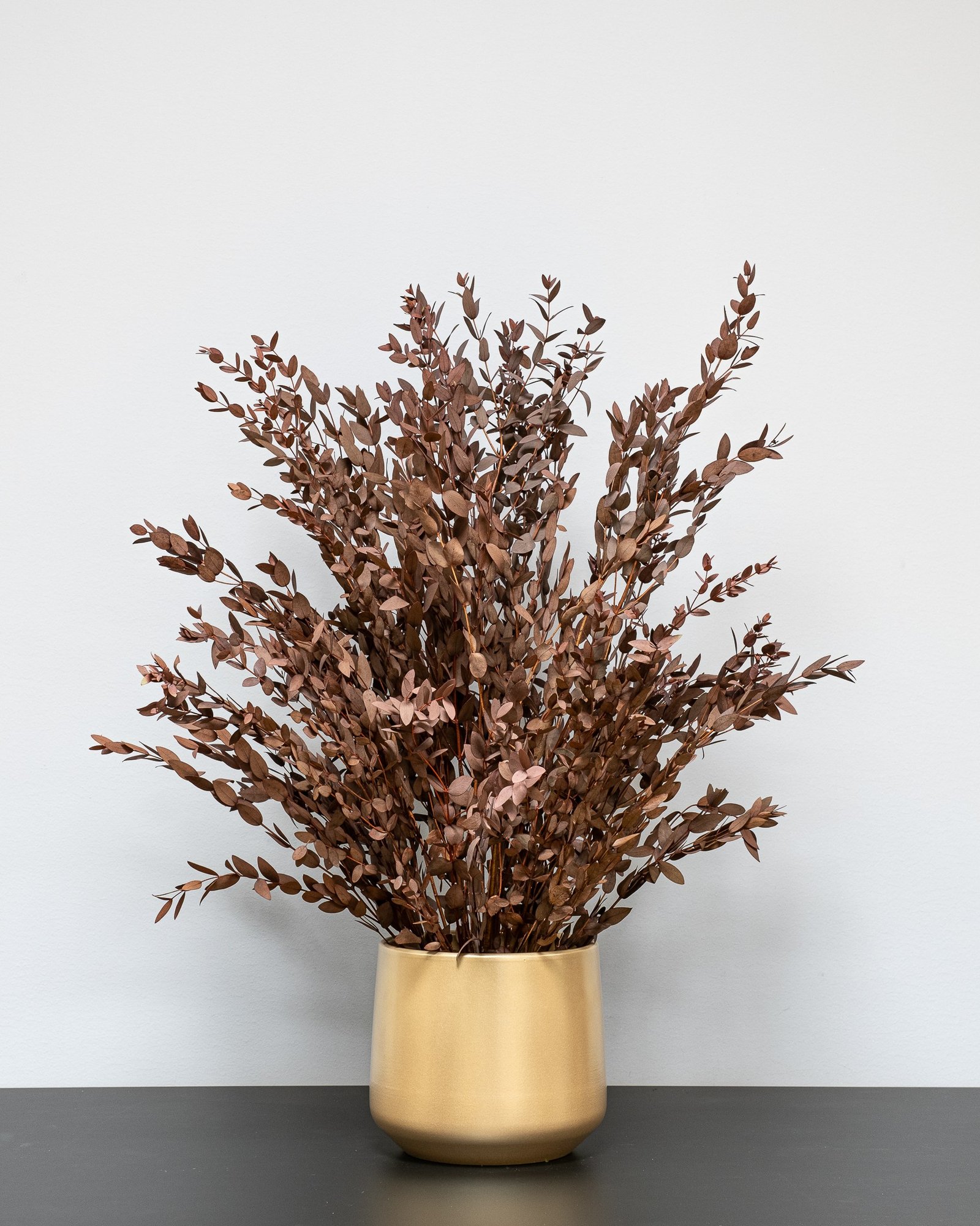 Ruukkuinen Säilötty Parvifolia - Image 6