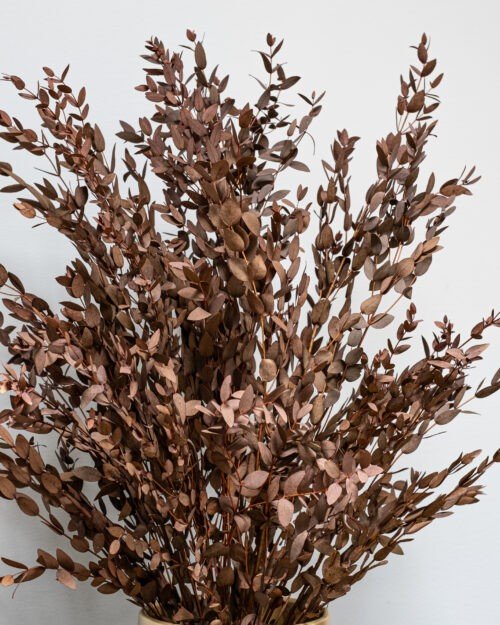 Alternative view of Ruukkuinen Säilötty Parvifolia