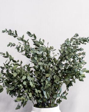 Alternative view of Eksklusiivinen Säilötty Eucalyptus Gunnii – Luonnon kauneutta ilman huolta