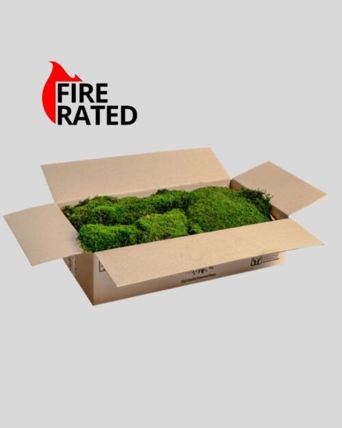 Palonkestävä säilötty sammal