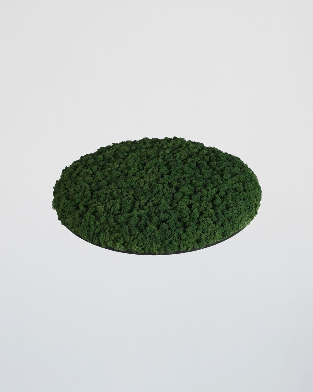 Sammalpaneeli Circle – Fantastinen ääntä vaimentava seinäpaneeli suomalaisella poronjäkälällä - Image 5