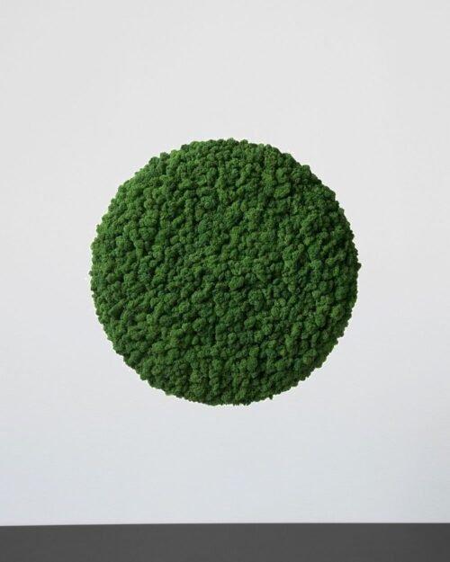 Alternative view of Sammalpaneeli Circle – Fantastinen ääntä vaimentava seinäpaneeli suomalaisella poronjäkälällä