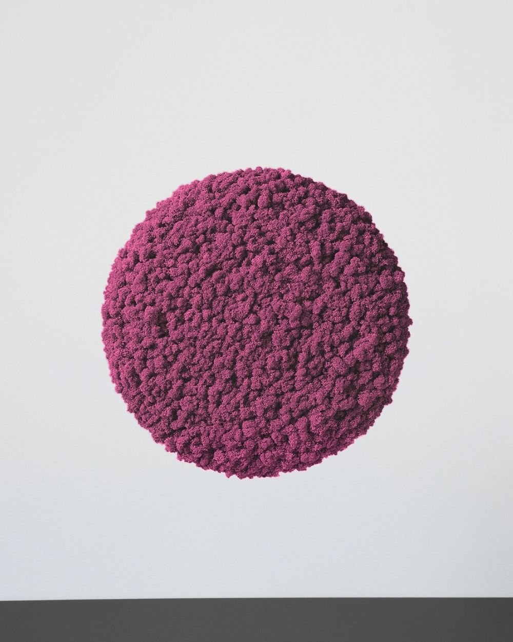 Sammalpaneeli Circle – Fantastinen ääntä vaimentava seinäpaneeli suomalaisella poronjäkälällä - Image 8