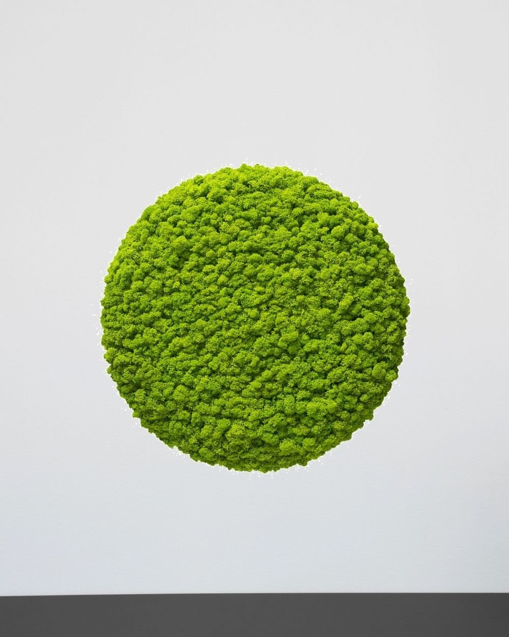 Sammalpaneeli Circle – Fantastinen ääntä vaimentava seinäpaneeli suomalaisella poronjäkälällä - Image 10