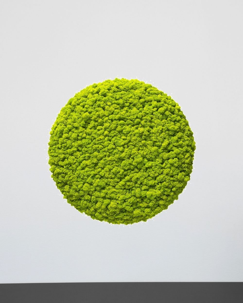 Sammalpaneeli Circle – Fantastinen ääntä vaimentava seinäpaneeli suomalaisella poronjäkälällä - Image 12