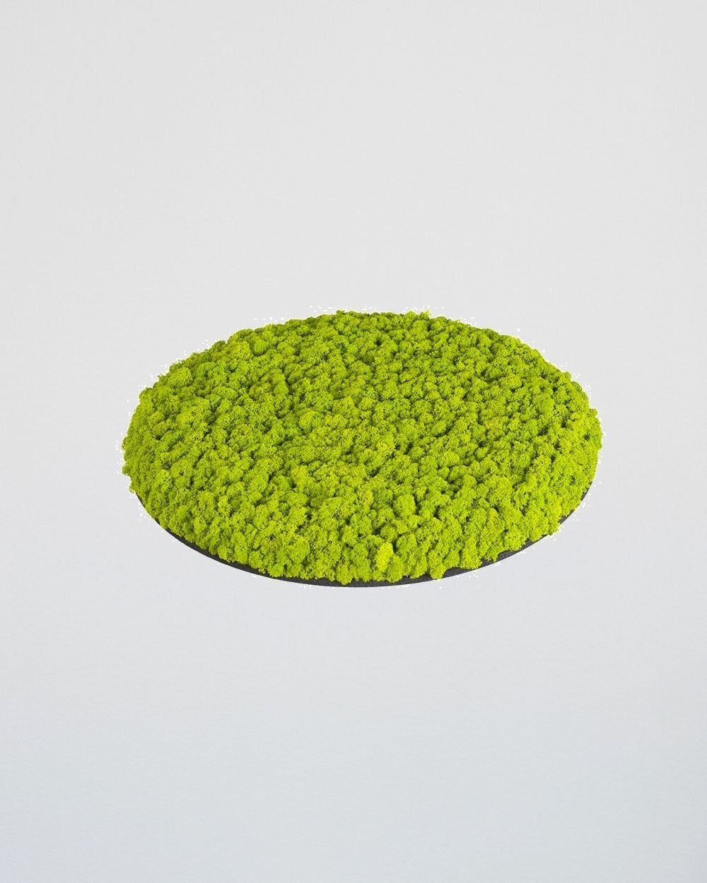 Sammalpaneeli Circle – Fantastinen ääntä vaimentava seinäpaneeli suomalaisella poronjäkälällä - Image 13