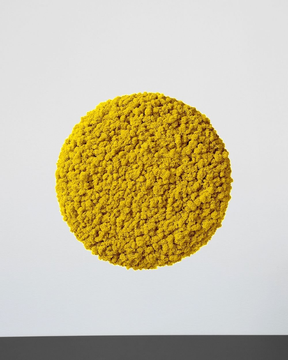 Sammalpaneeli Circle – Fantastinen ääntä vaimentava seinäpaneeli suomalaisella poronjäkälällä - Image 16