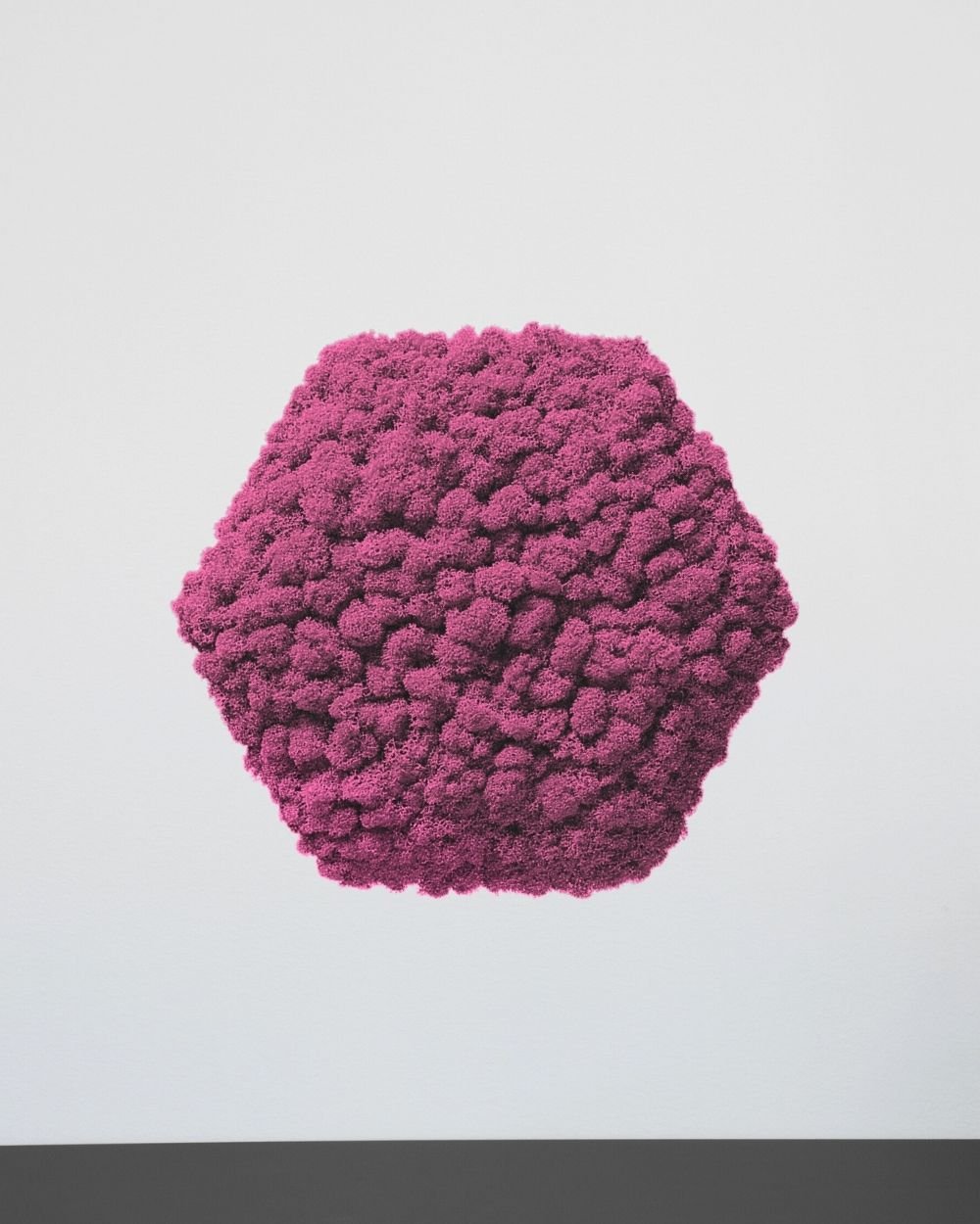 Sammalpaneeli Kuusikulmio - Upea ääntä vaimentava seinäpaneeli aidolla suomalaisella poronjäkälällä - Image 2