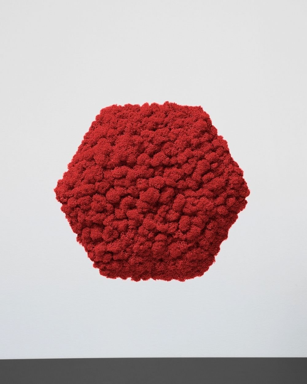 Sammalpaneeli Kuusikulmio - Upea ääntä vaimentava seinäpaneeli aidolla suomalaisella poronjäkälällä - Image 5