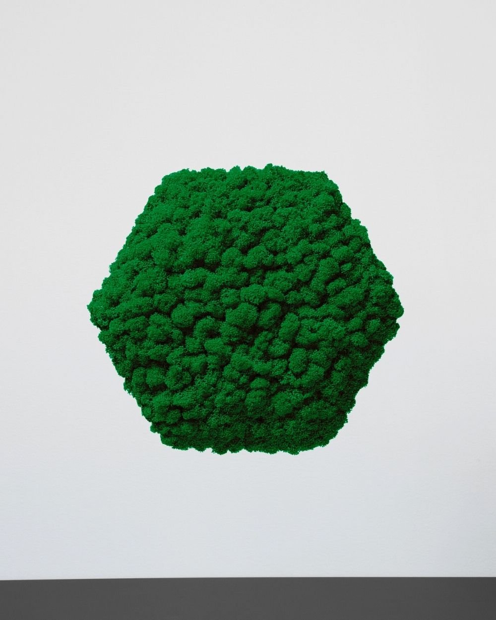 Sammalpaneeli Kuusikulmio - Upea ääntä vaimentava seinäpaneeli aidolla suomalaisella poronjäkälällä - Image 6