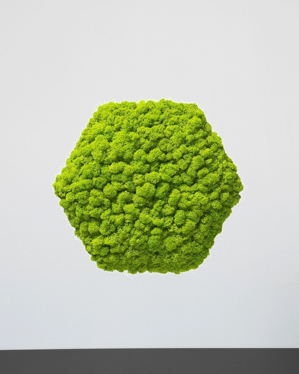 Sammalpaneeli Kuusikulmio - Upea ääntä vaimentava seinäpaneeli aidolla suomalaisella poronjäkälällä - Image 7