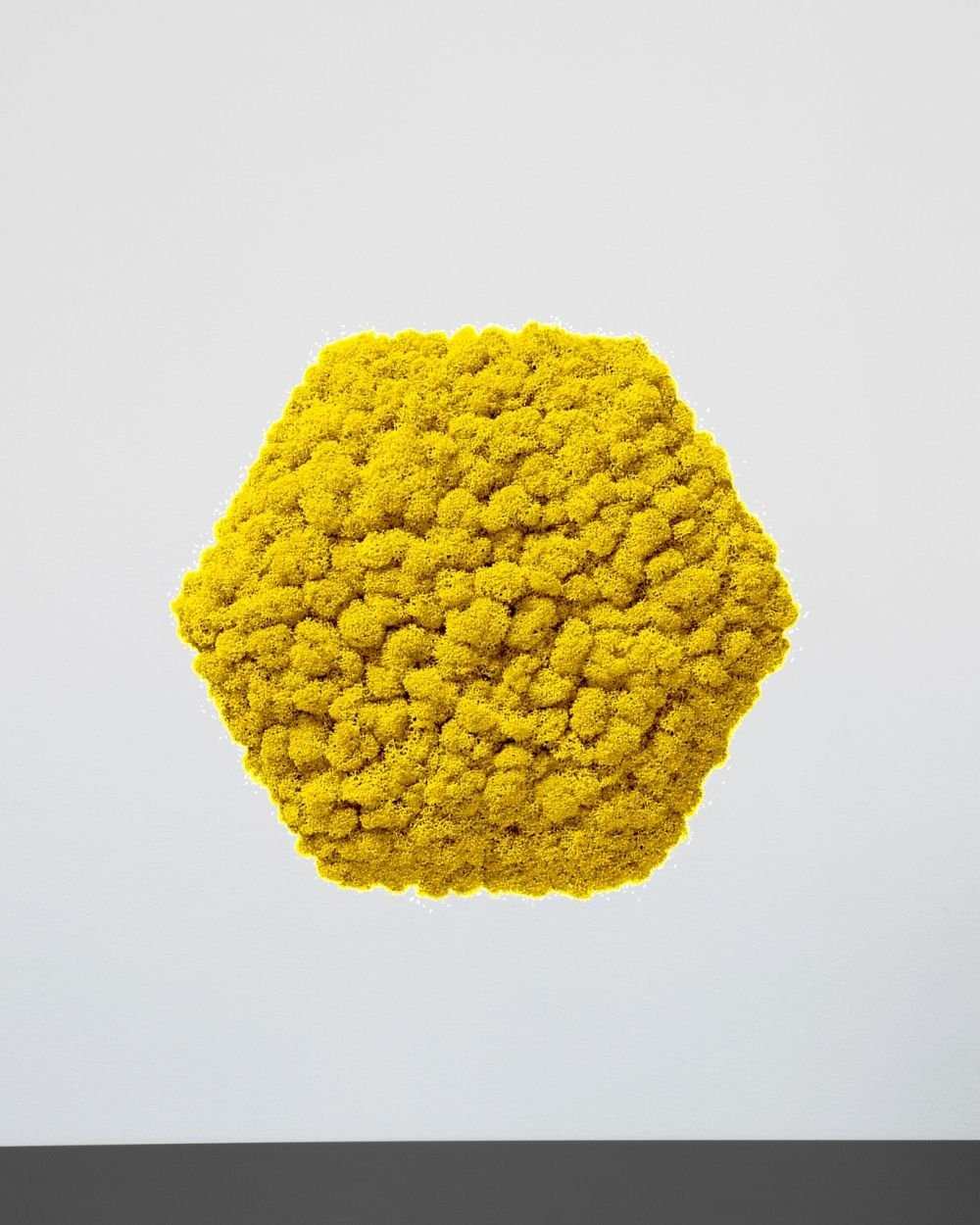 Sammalpaneeli Kuusikulmio - Upea ääntä vaimentava seinäpaneeli aidolla suomalaisella poronjäkälällä - Image 8