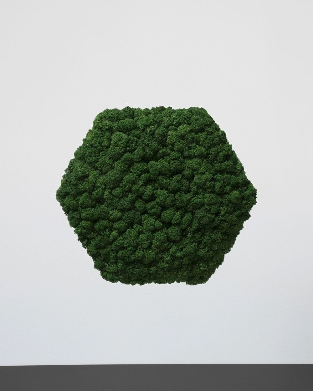 Sammalpaneeli Kuusikulmio - Upea ääntä vaimentava seinäpaneeli aidolla suomalaisella poronjäkälällä - Image 9