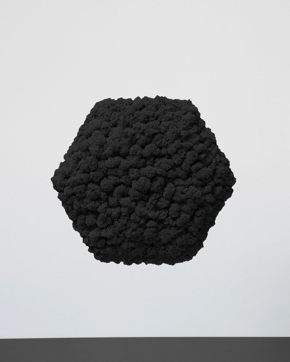 Sammalpaneeli Kuusikulmio - Upea ääntä vaimentava seinäpaneeli aidolla suomalaisella poronjäkälällä - Image 10