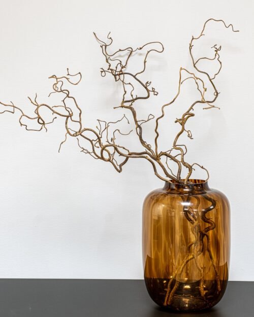 Närbild på vridna trollhasselgrenar för påskris